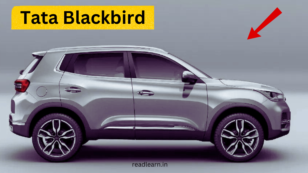 Tata Blackbird 2024